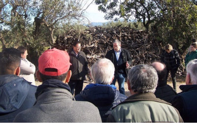 III Jornada de manejo del almendro en regadío